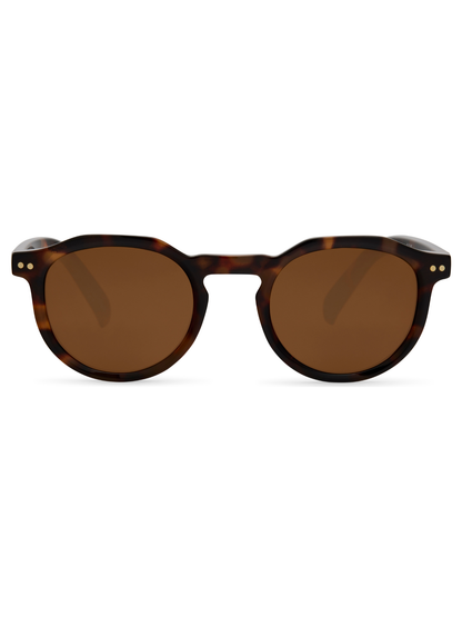 GAFAS SIENA