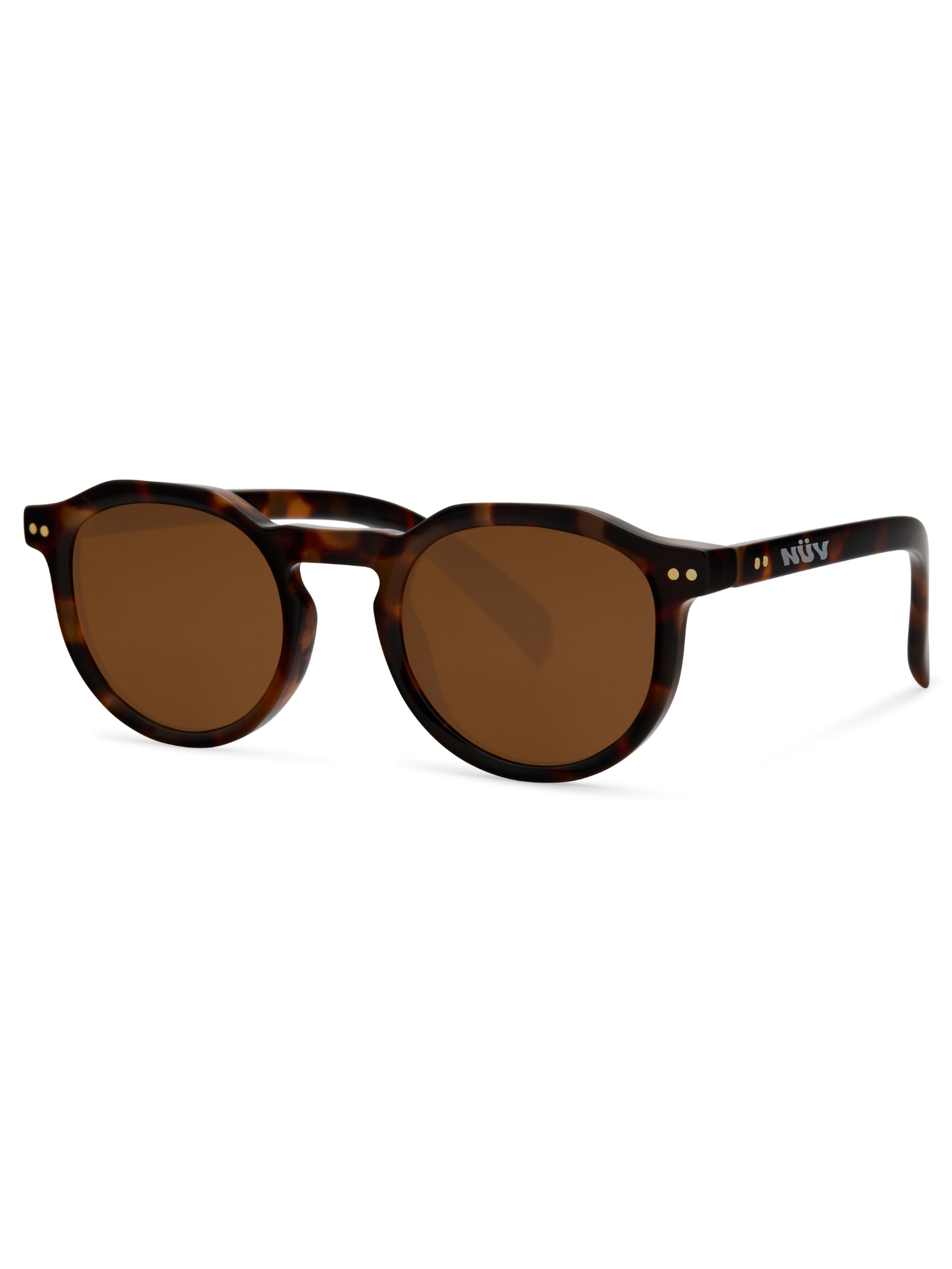 GAFAS SIENA